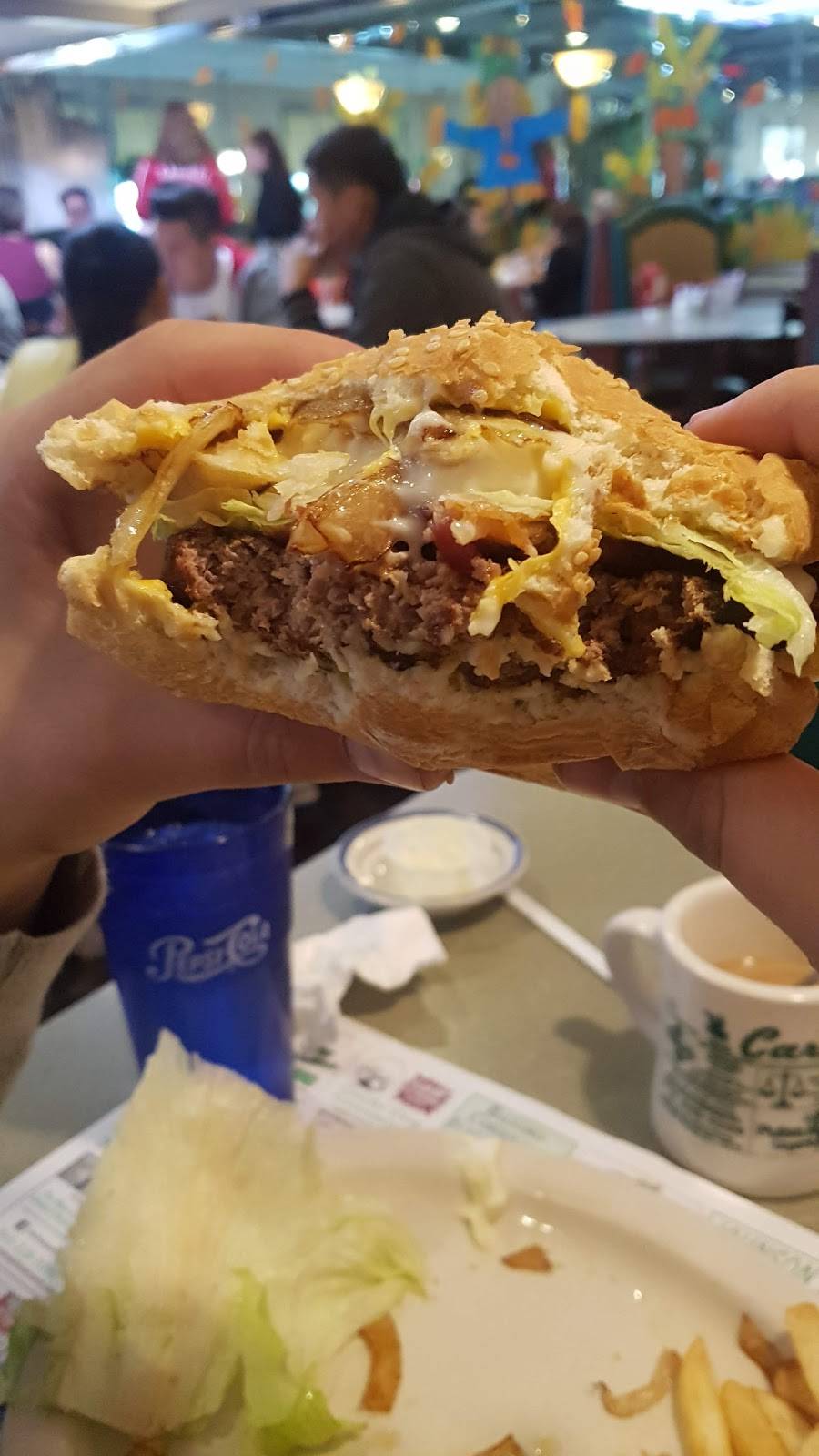 Carmel Diner Inc | restaurant | 63 Gleneida Ave, Carmel Hamlet, NY 10512, USA | 8452255000 OR +1 845-225-5000