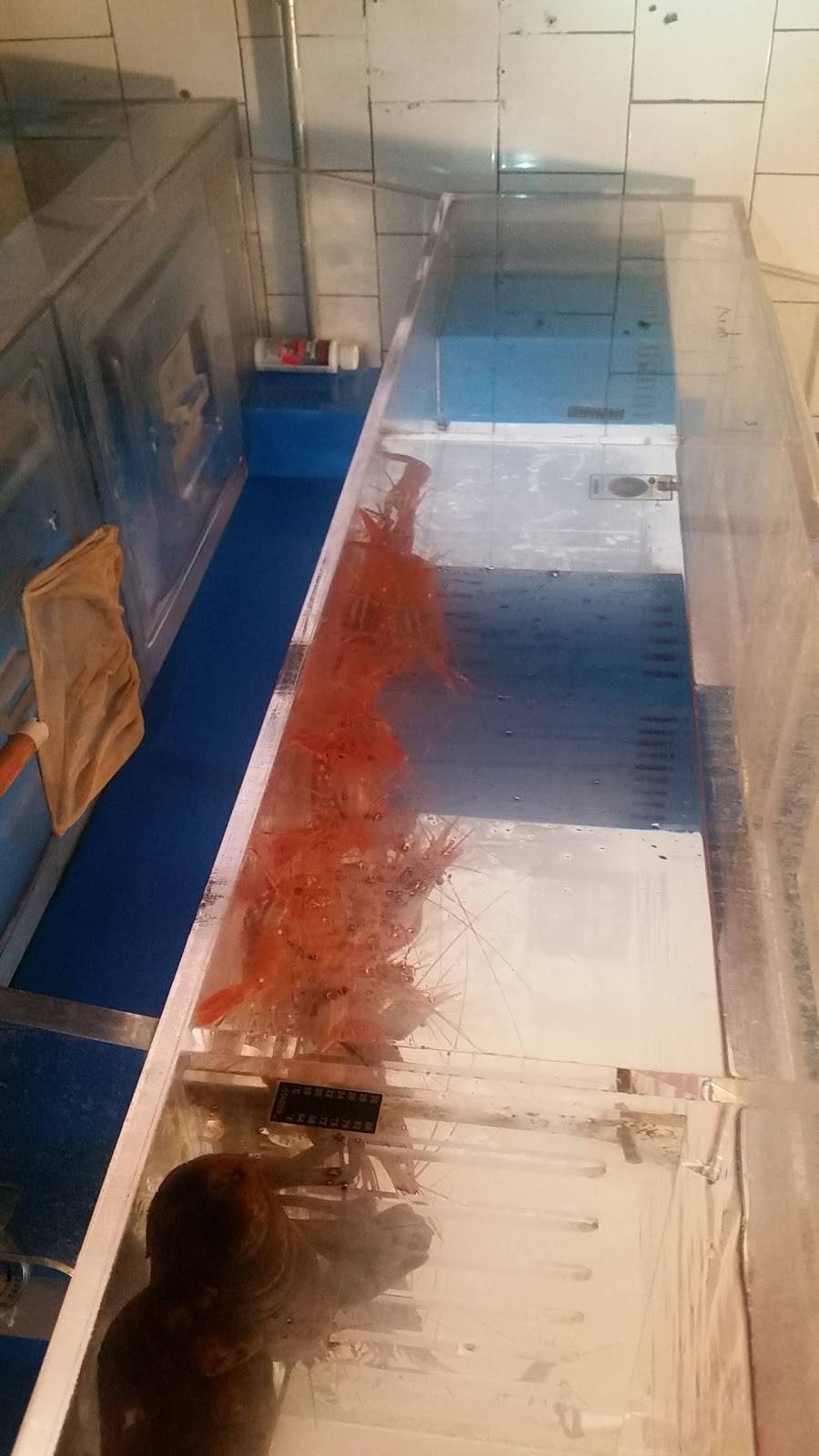 Mr. Tang | restaurant | 253 Avenue X, Brooklyn, NY 11223, USA | 7187699444 OR +1 718-769-9444