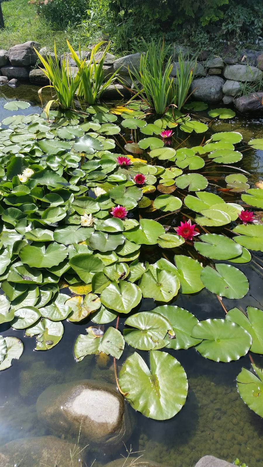 Spring Meadow Station | restaurant | 15513 Hanover Pike, Upperco, MD 21155, USA | 4108337826 OR +1 410-833-7826