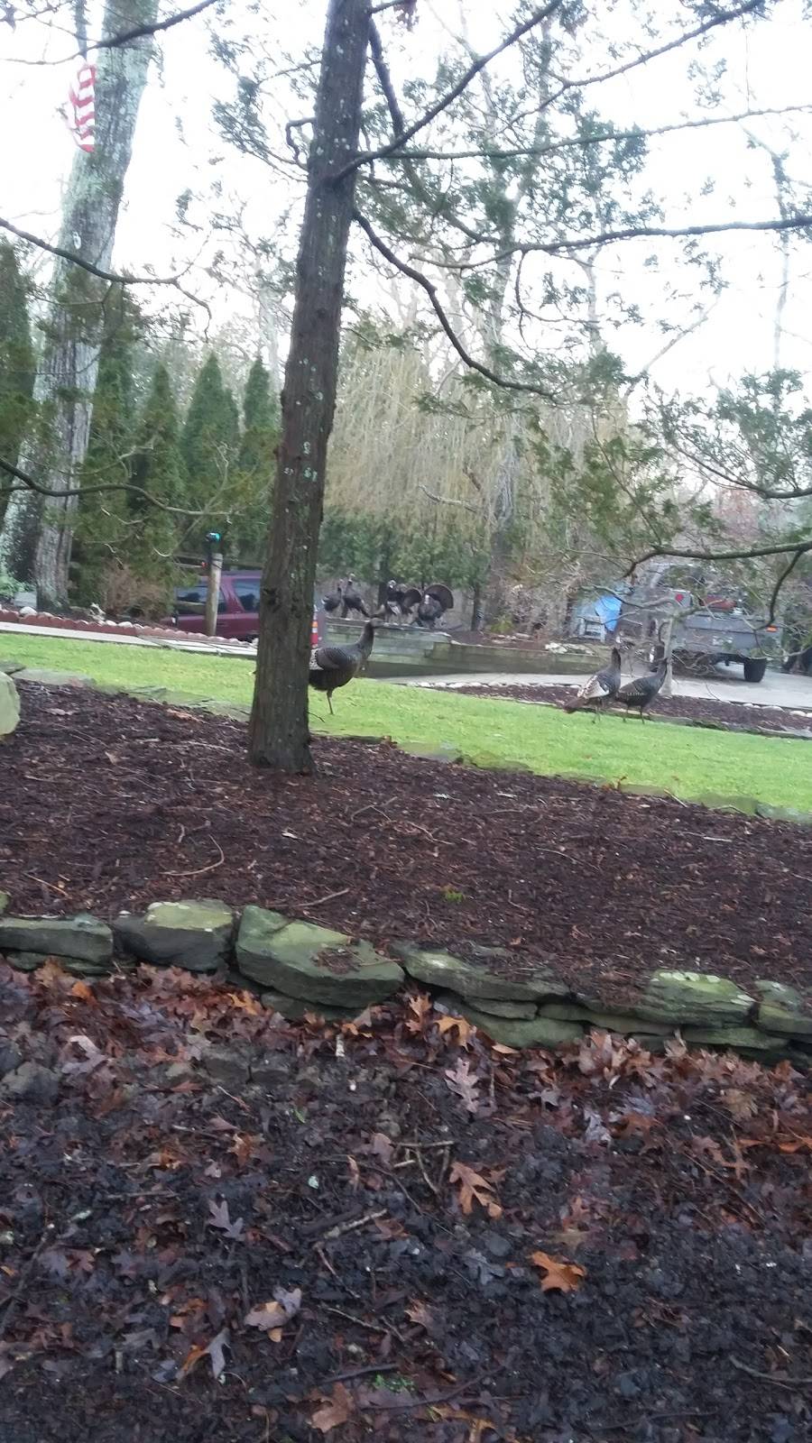 Pellegrinos | restaurant | 1271 Noyack Rd, Southampton, NY 11968, USA | 6312839742 OR +1 631-283-9742