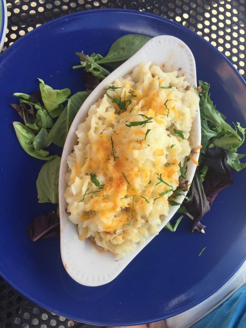 Finn McCools Irish Gastropub | restaurant | 102 E Main St, Newark, DE 19711, USA | 3023697330 OR +1 302-369-7330