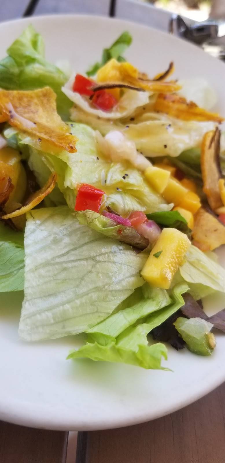 Rumba Island Bar & Grill | restaurant | 3687 Tampa Rd, Oldsmar, FL 34677, USA | 8134755974 OR +1 813-475-5974