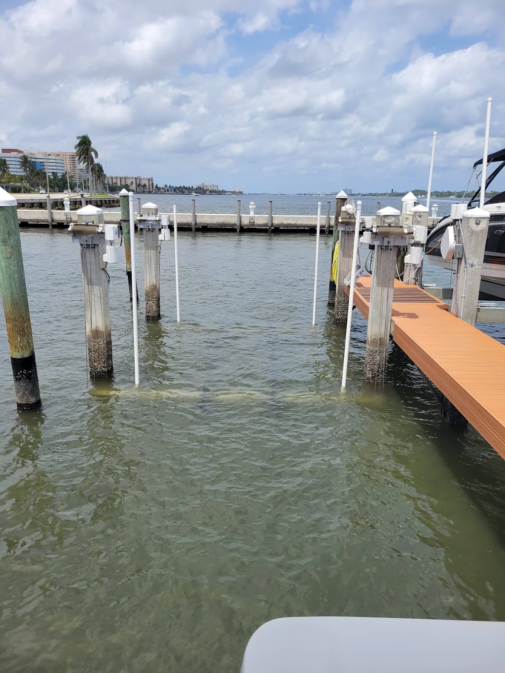 Palm Beach Yacht Club | restaurant | 800 N Flagler Dr, West Palm Beach, FL 33401, USA | 5616558711 OR +1 561-655-8711