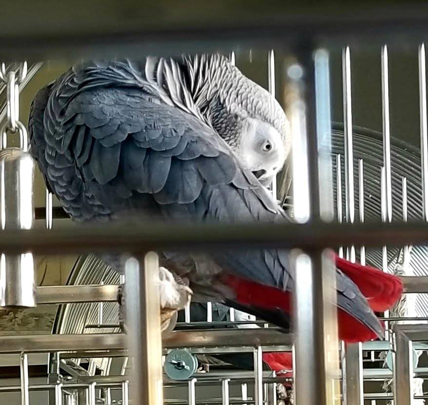 Twin Peaks | shopping mall | 14721-14905 Pomerado Rd, Poway, CA 92064, USA | 8588474600 OR +1 858-847-4600