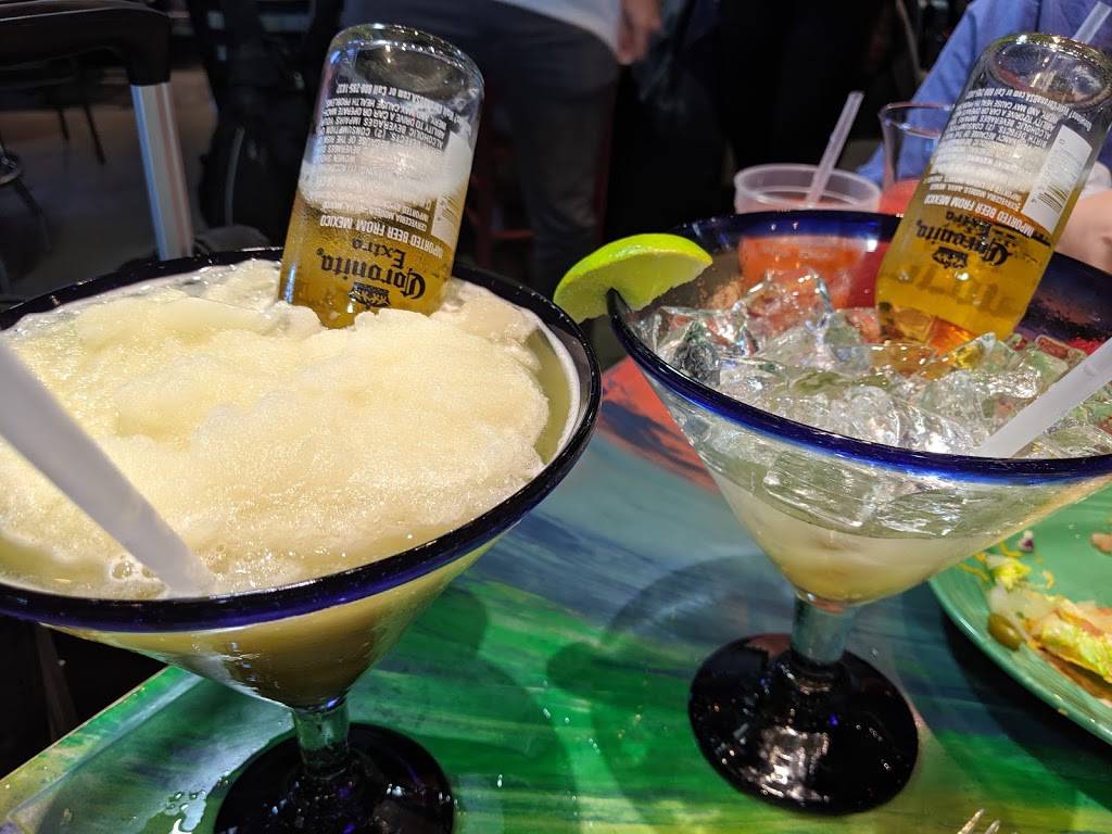 Nacho Hippo | restaurant | 1100 Jetport Rd, Myrtle Beach, SC 29577, USA | 2525297029 OR +1 252-529-7029