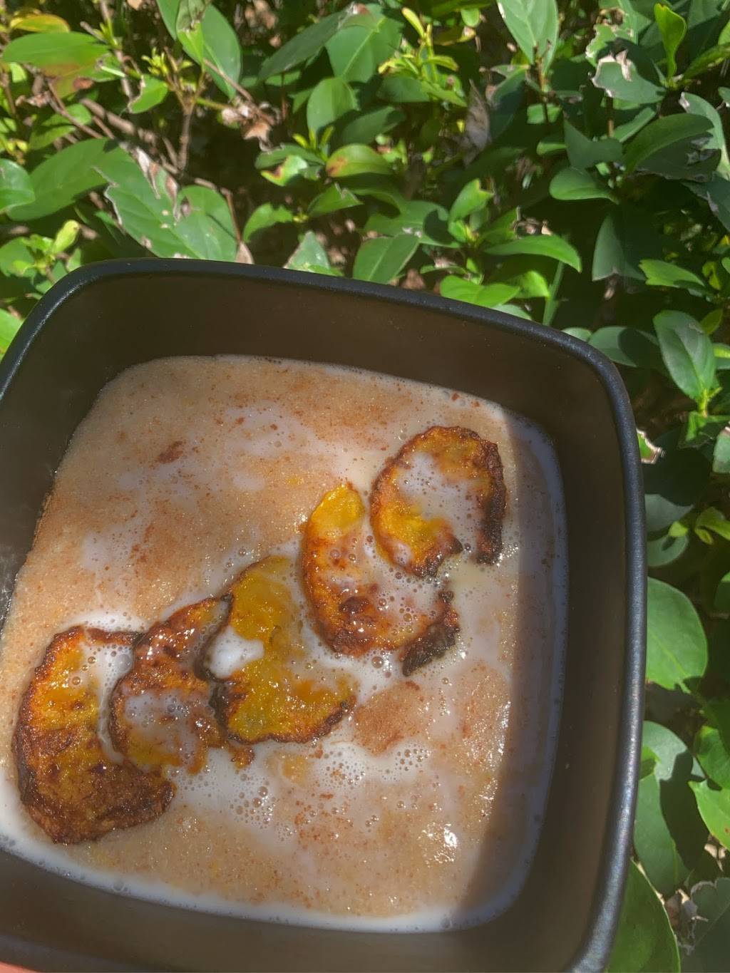 Shared Synergy | restaurant | 3631 University Blvd N Apt 4108, Jacksonville, FL 32277, USA | 9197175299 OR +1 919-717-5299