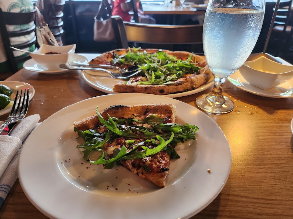 Magdalena’s | restaurant | 5110 Buffalo Speedway Suite B, Houston, TX 77005, USA | 7132308698 OR +1 713-230-8698