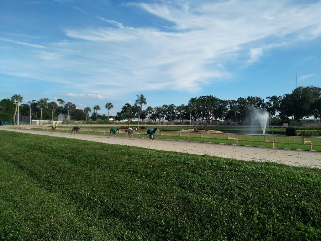 Derby Lane St Petersburg | restaurant | 10490 Gandy Blvd N, St. Petersburg, FL 33702, USA | 7278123339 OR +1 727-812-3339