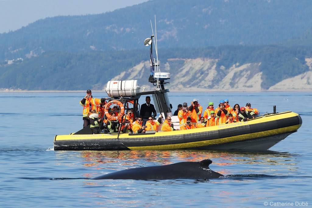 Croisières AML | restaurant | 124 Rue Saint-Pierre, Québec, QC G1K 4A7, Canada | 8668566668 OR +1 866-856-6668