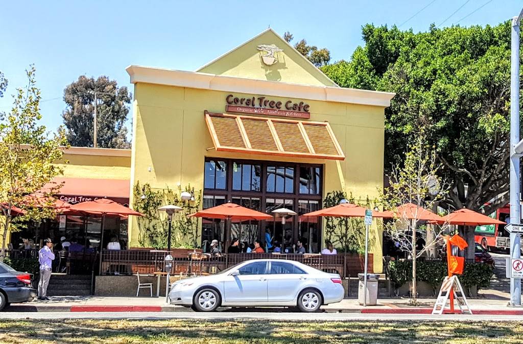 Coral Tree Cafe | cafe | 11645 San Vicente Blvd, Los Angeles, CA 90049, USA | 3109798733 OR +1 310-979-8733