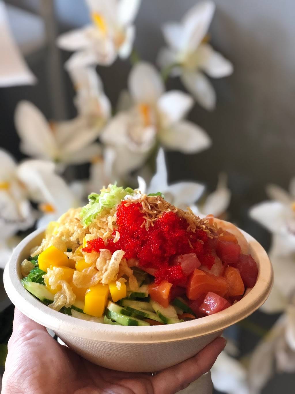 The Poké Republic | restaurant | 309a Crossroads Blvd, Cary, NC 27518, USA | 9198517101 OR +1 919-851-7101