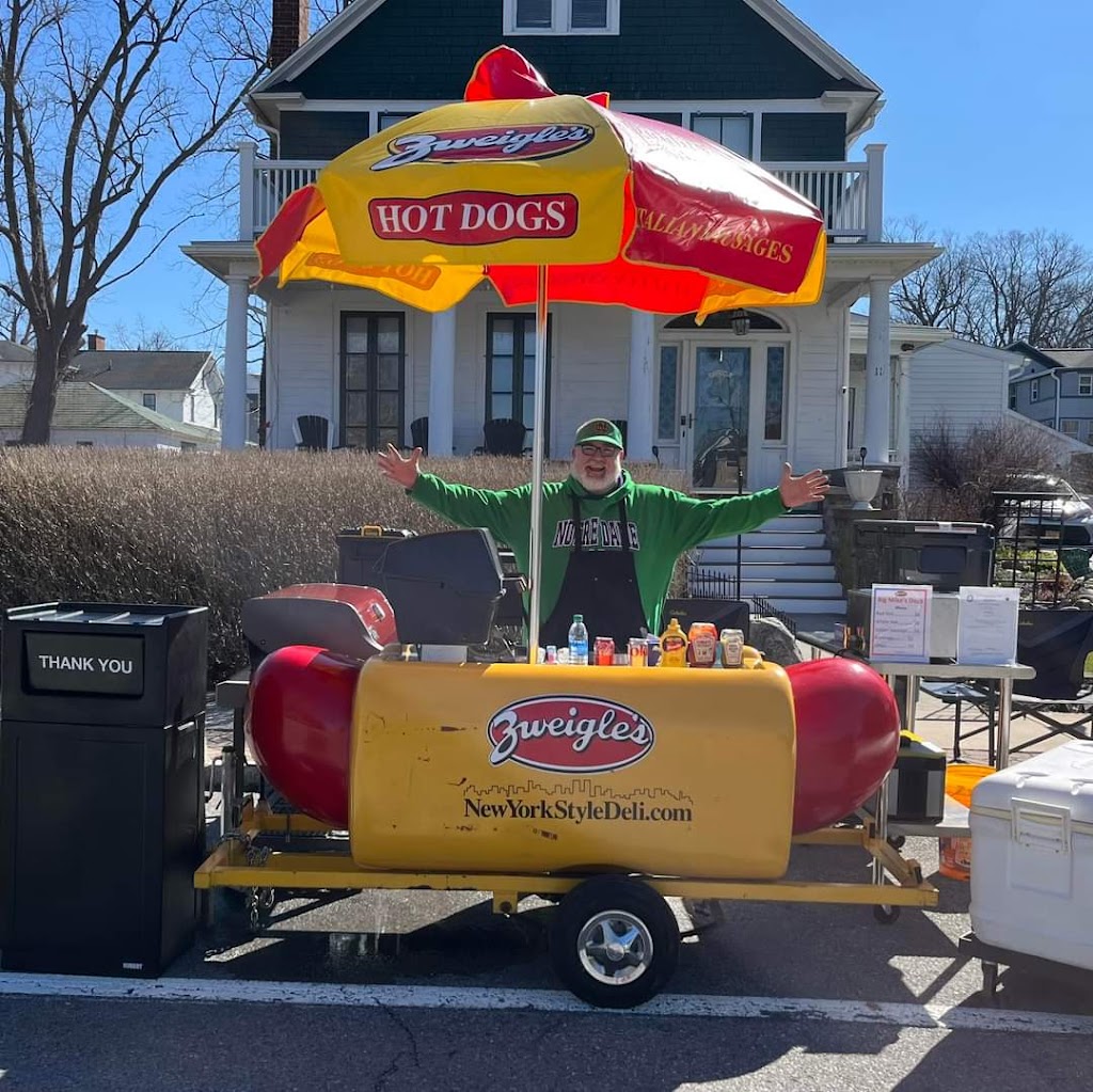 Big Mikes Dogz | restaurant | 71 Park Pl, Avon, NY 14414, USA | 5857327172 OR +1 585-732-7172