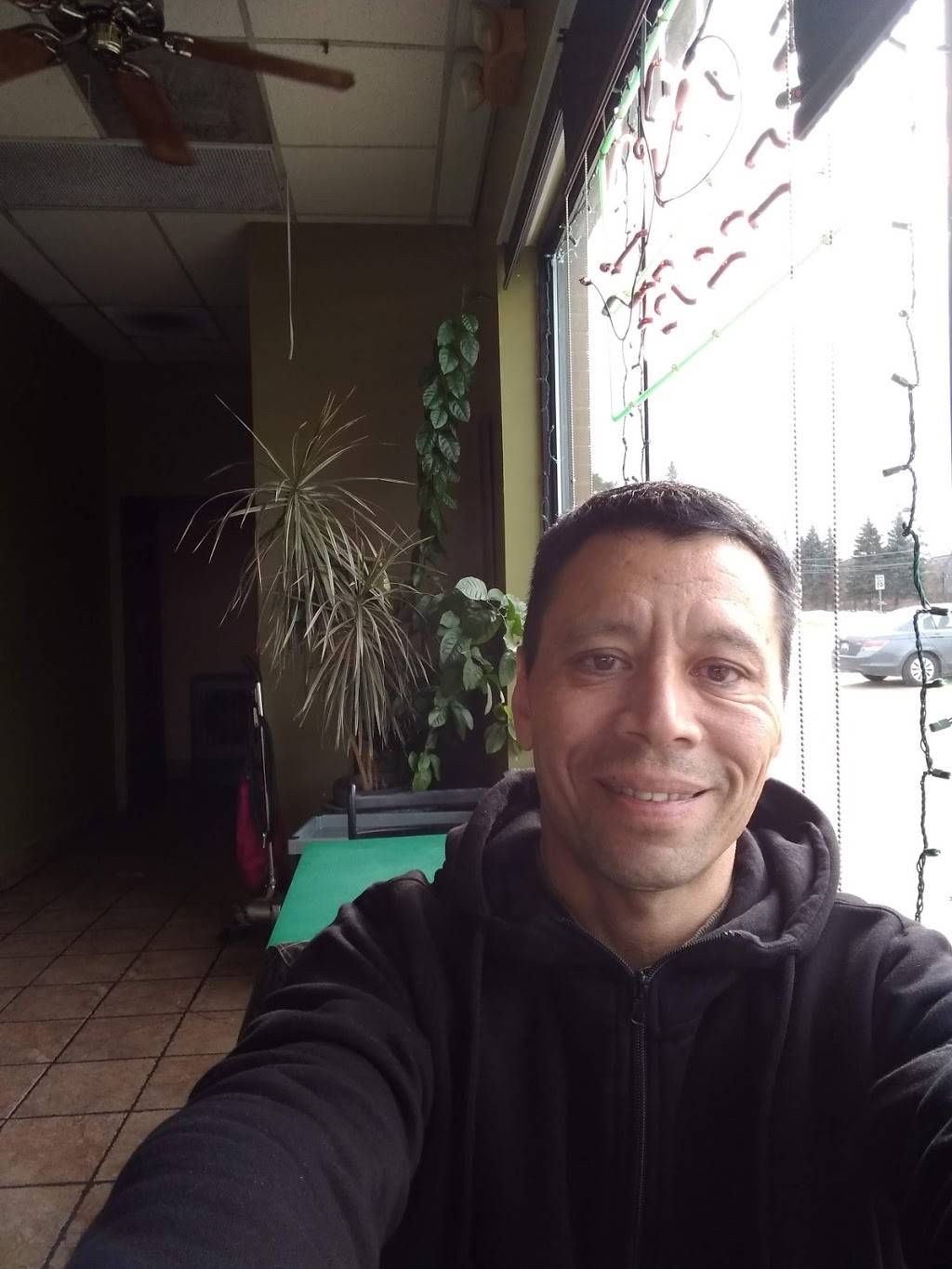 Orient Express | restaurant | 55101 Shelby Rd, Shelby Charter Twp, MI 48316, USA | 2486503100 OR +1 248-650-3100