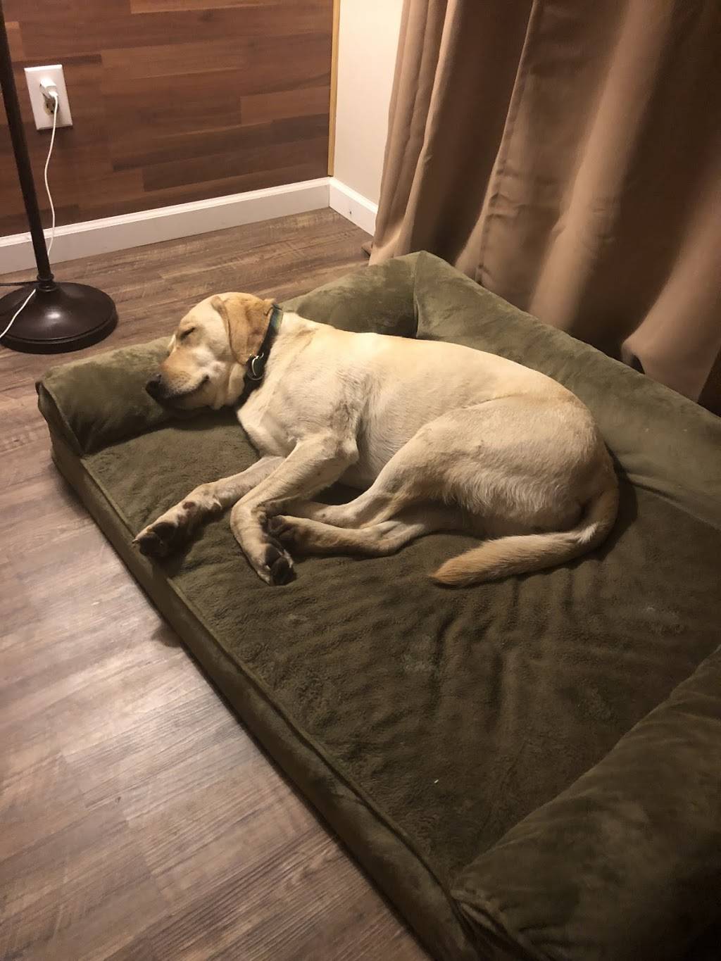 Black Station Inn | night club | 28355 CA-88, Pioneer, CA 95666, USA | 2092954508 OR +1 209-295-4508