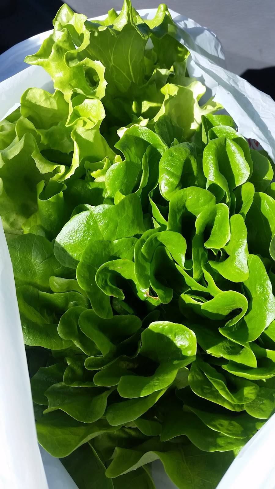 Unusual Junction | restaurant | 56310, West Lafayette, OH 43845, USA | 7405459772 OR +1 740-545-9772