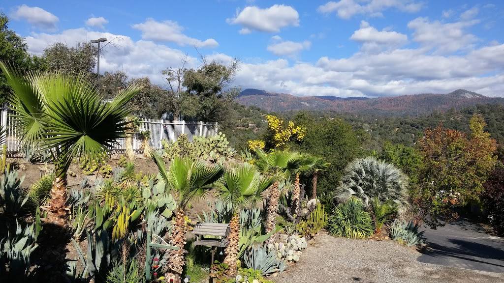 El Cid | restaurant | 41939 CA-41, Oakhurst, CA 93644, USA | 5596836668 OR +1 559-683-6668