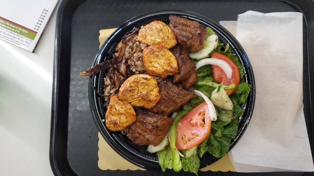 Kabbab Grill | restaurant | 10738 NW 74th St, Doral, FL 33178, USA | 3056298059 OR +1 305-629-8059