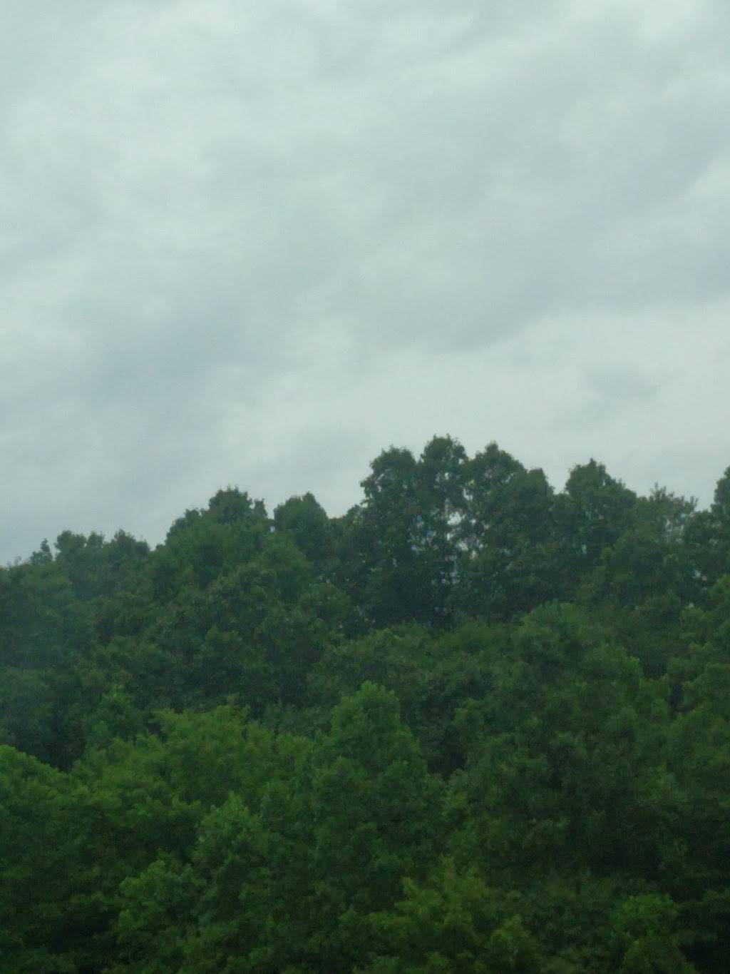 Nickel Valley Resorts | restaurant | 33900 Township Rd 68, Frazeysburg, OH 43822, USA | 7408282410 OR +1 740-828-2410