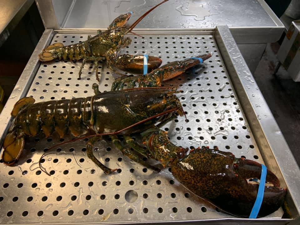 Angry Crab Shack | restaurant | 3227 E Bell Rd #D110, Phoenix, AZ 85032, USA | 6029758556 OR +1 602-975-8556