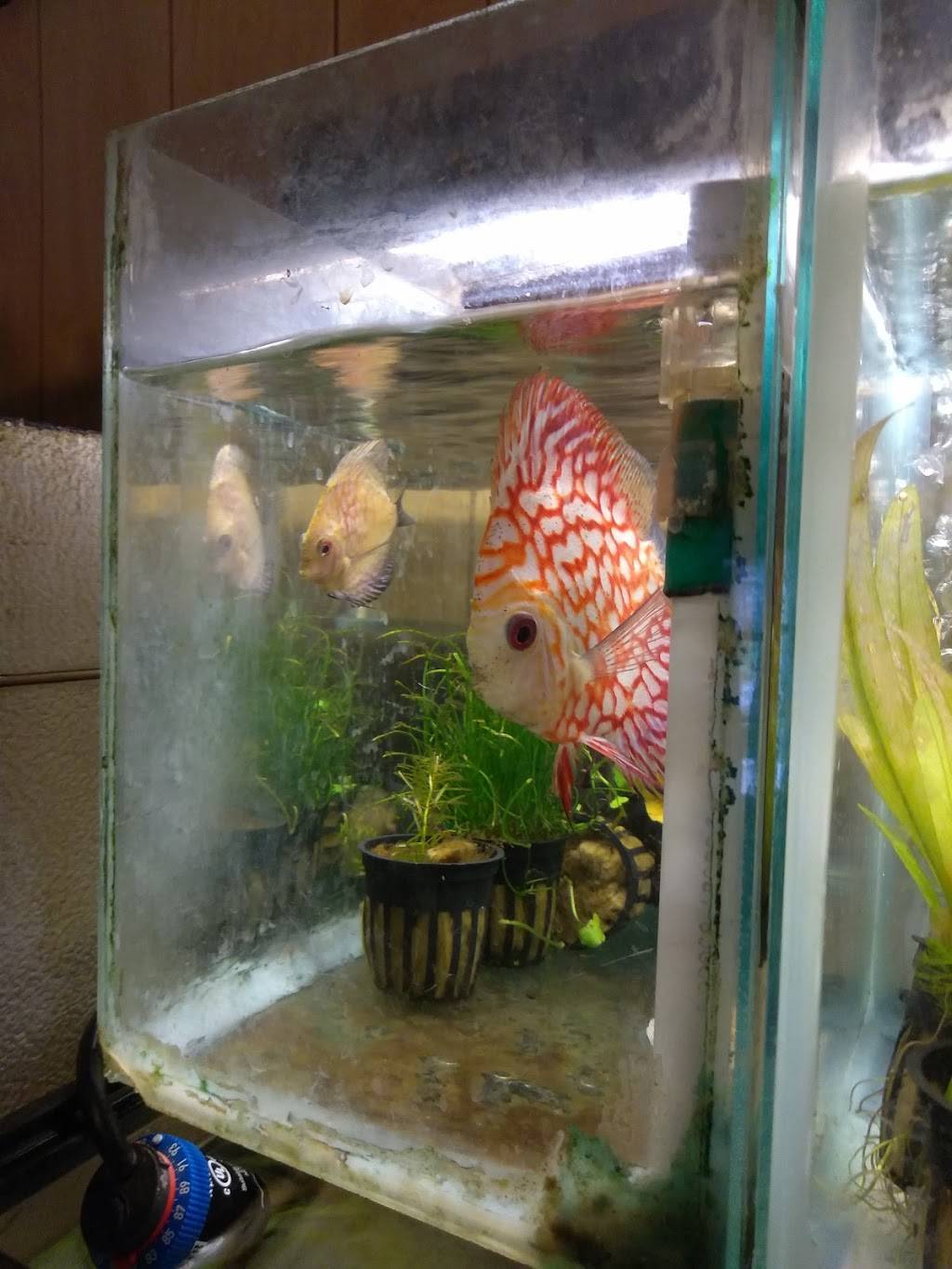 Sing Yee Restaurant | restaurant | 379 Turnpike St, South Easton, MA 02375, USA | 5082389881 OR +1 508-238-9881