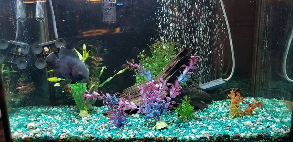 The Shrimp Lover | restaurant | 4814 Melrose Ave, Los Angeles, CA 90029, USA | 3236637079 OR +1 323-663-7079