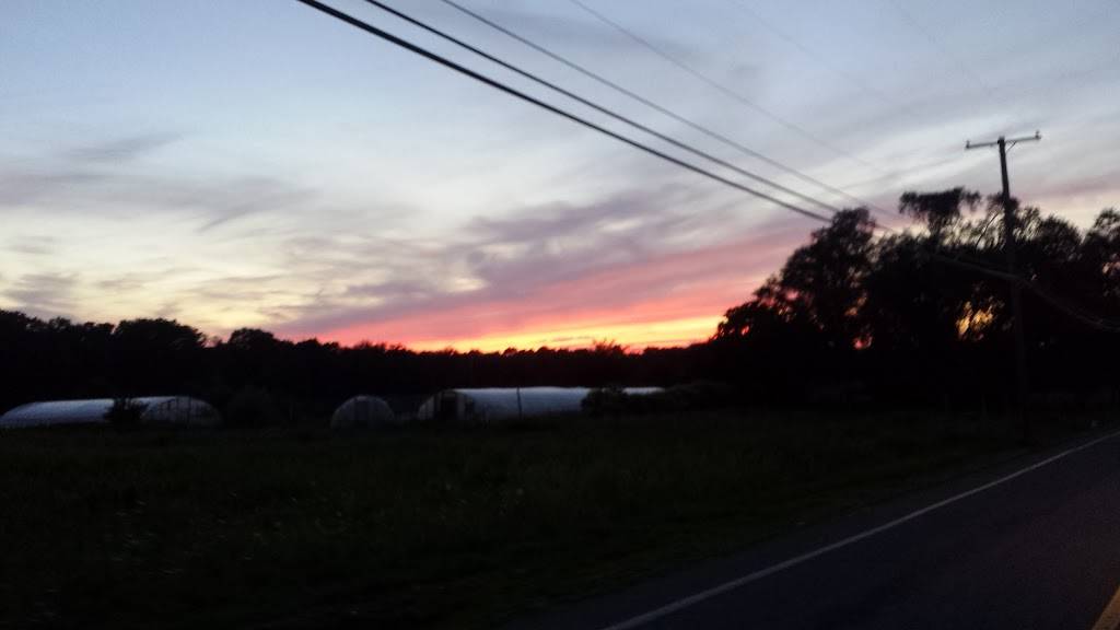 Bobs Deli & Grill | meal takeaway | 996 Lakewood Farmingdale Rd, Howell, NJ 07731, USA | 7329056500 OR +1 732-905-6500