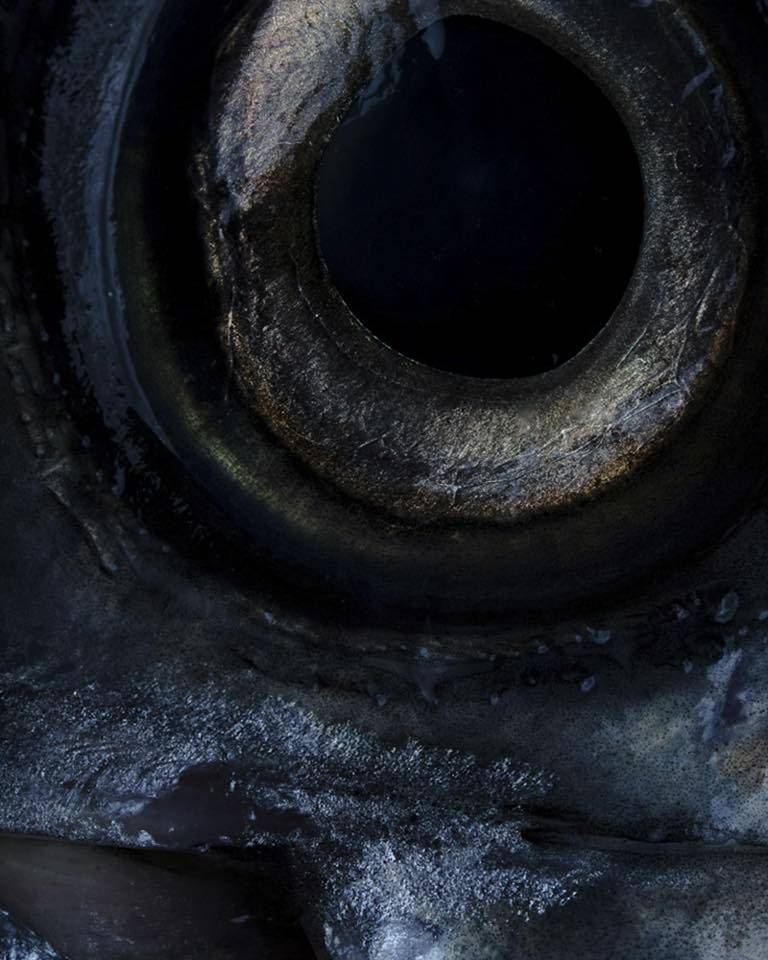 Makro Pêcheries | restaurant | 1726 Rue Notre-Dame Ouest, Montréal, QC H3J 1M3, Canada | 5143796002 OR +1 514-379-6002