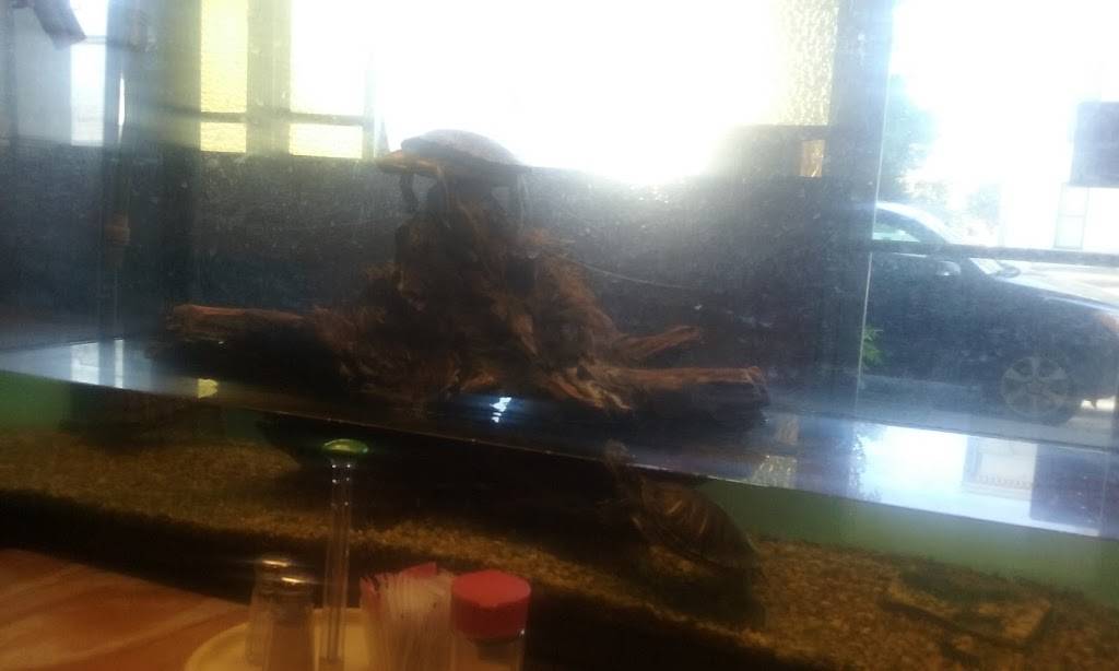 Dragon Island | restaurant | 535 Market St, Colusa, CA 95932, USA | 5304584111 OR +1 530-458-4111