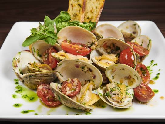 Penthouse Lounge Bar | night club | 2027 Emmons Ave 3rd floor, Brooklyn, NY 11235, USA | 3475875510 OR +1 347-587-5510