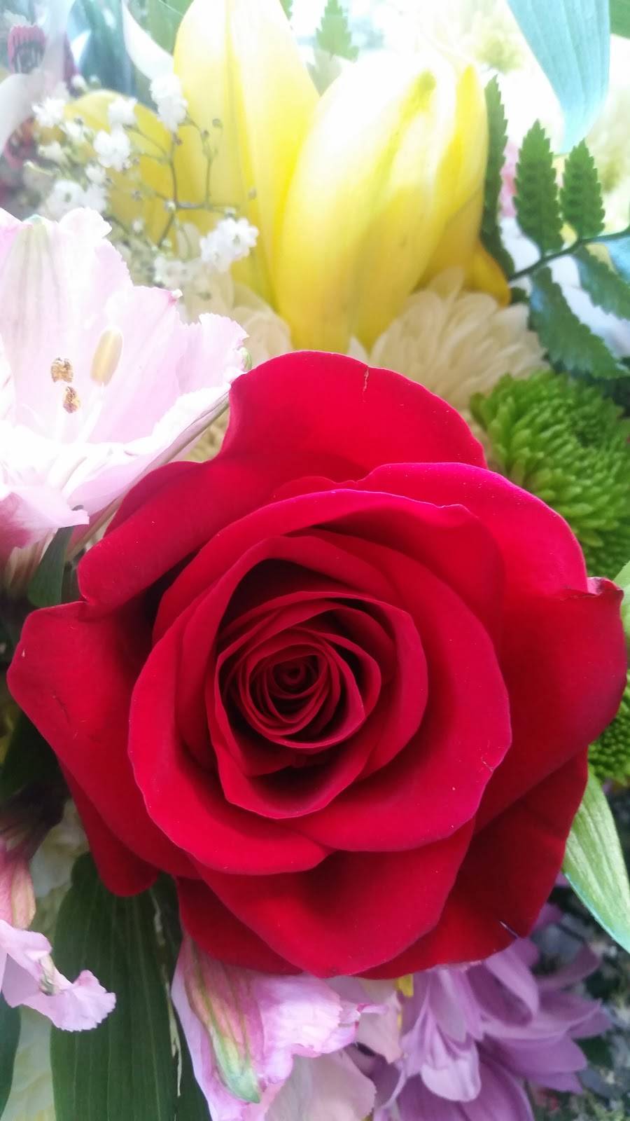 Fernandes Dos Dantos Wanderson | restaurant | 80 Vincent St, Newark, NJ 07105, USA | 9734910919 OR +1 973-491-0919