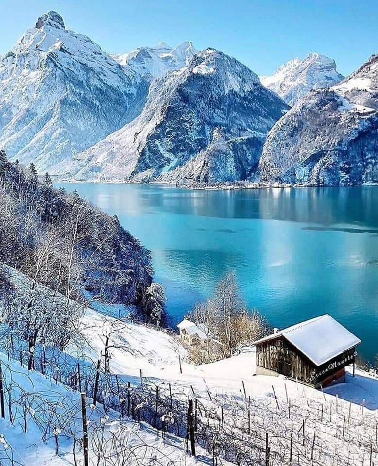 Century Vallejo 14 | meal takeaway | 109 Plaza Dr, Vallejo, CA 94591, USA | 7075531205 OR +1 707-553-1205