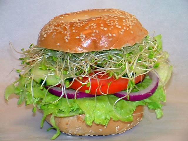 House of Bagels | cafe | 5353 Almaden Expy #63, San Jose, CA 95118, USA | 4082641188 OR +1 408-264-1188