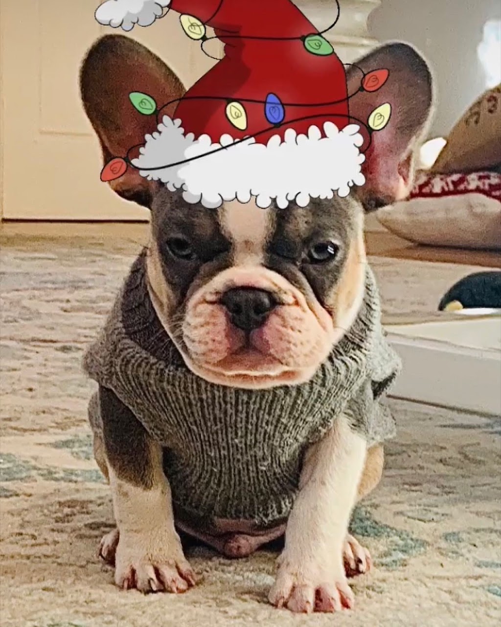 Starbucks | cafe | 622 Hugh Adams Rd, Defuniak Springs, FL 32435, USA | 8509202293 OR +1 850-920-2293