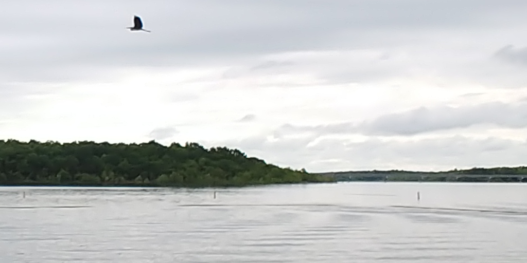 No Wake Cafe | restaurant | 18 Mutton Creek Loop, Greenfield, MO 65661, USA | 4179954410 OR +1 417-995-4410