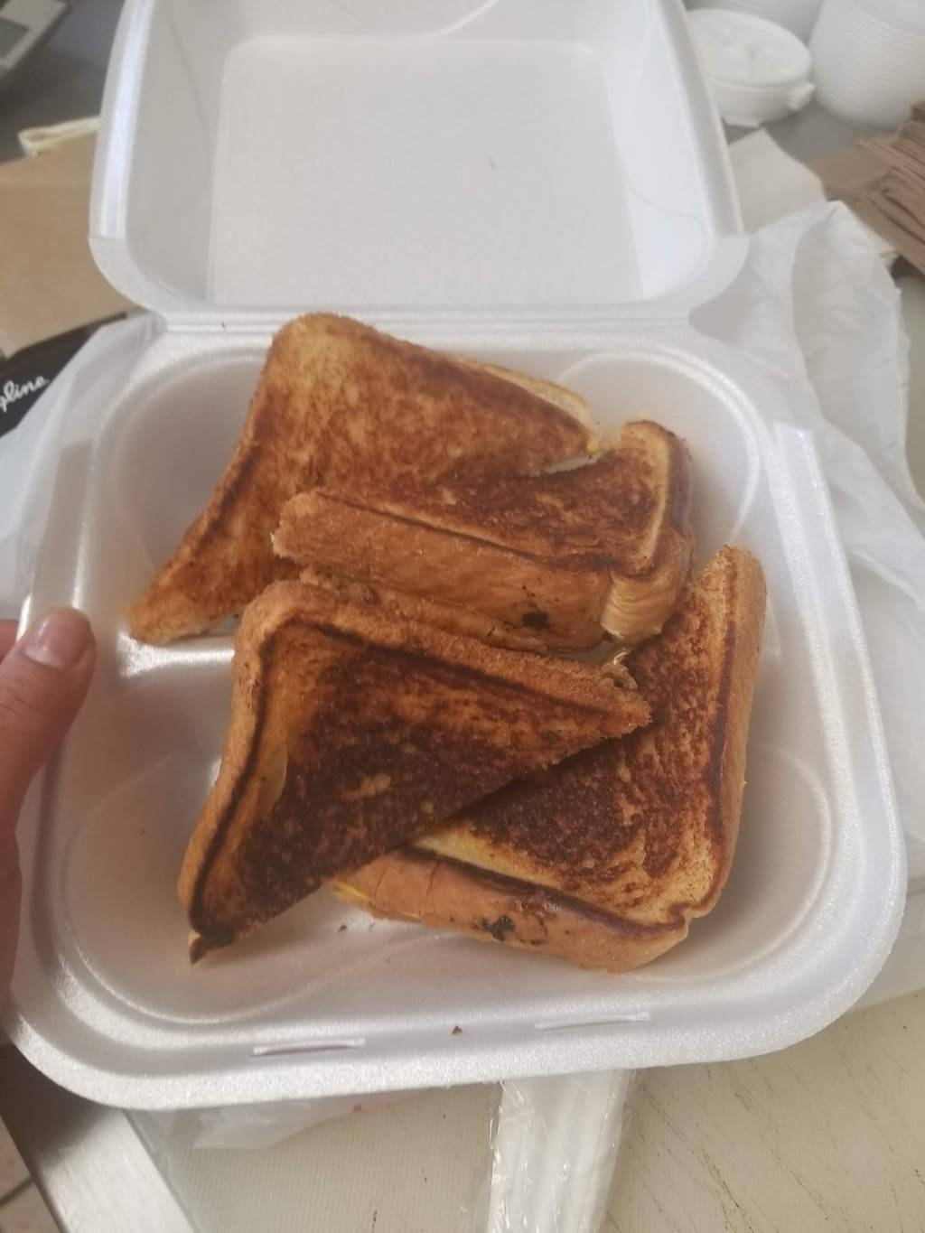 Erikas Cafe & Restaurant | restaurant | 4153 SW 47th Ave, Davie, FL 33314, USA | 9545810083 OR +1 954-581-0083