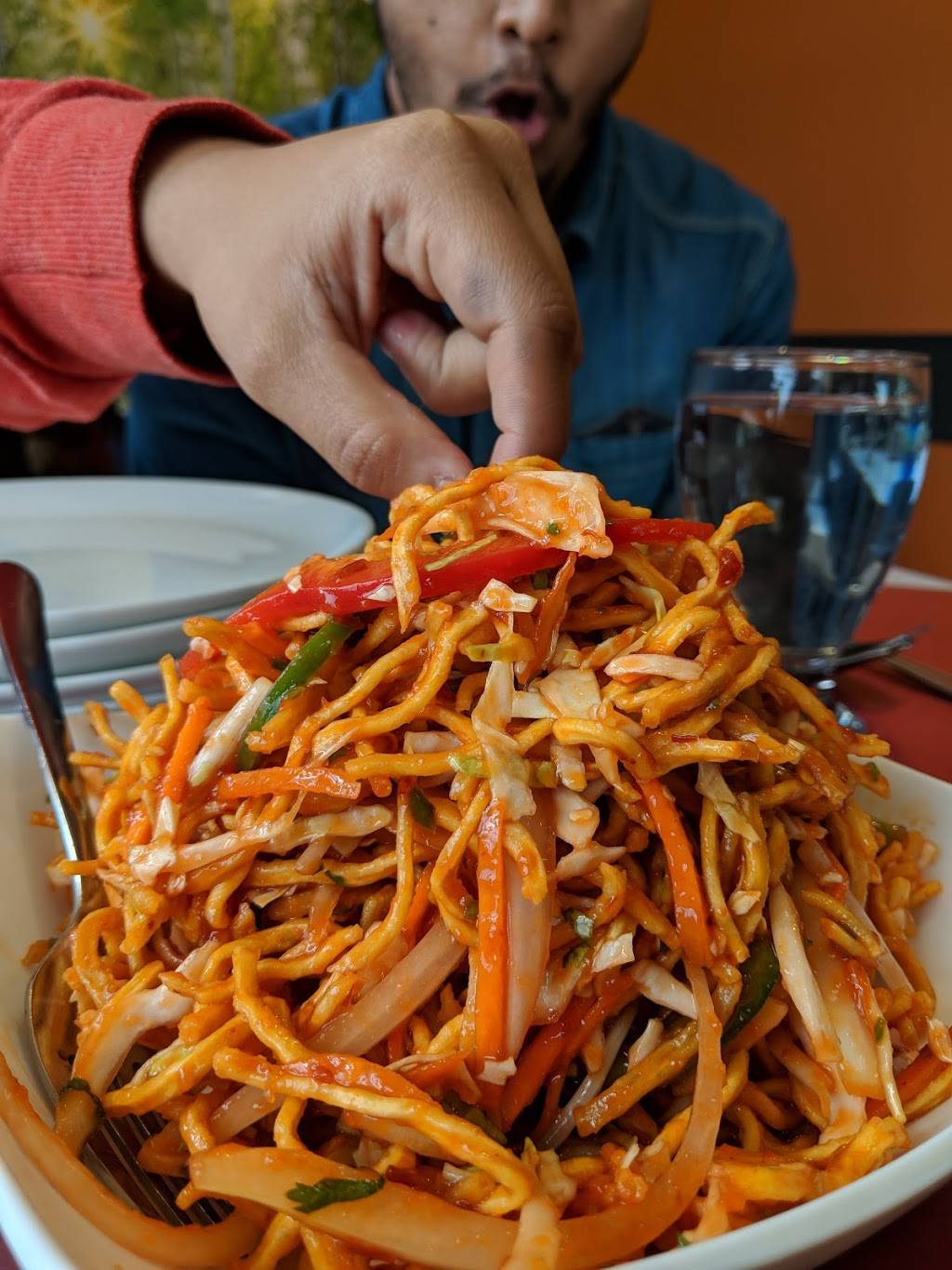 Hakka Hut | restaurant | 688 Hespeler Rd #1A, Cambridge, ON N1R 8N7, Canada | 5192676660 OR +1 519-267-6660