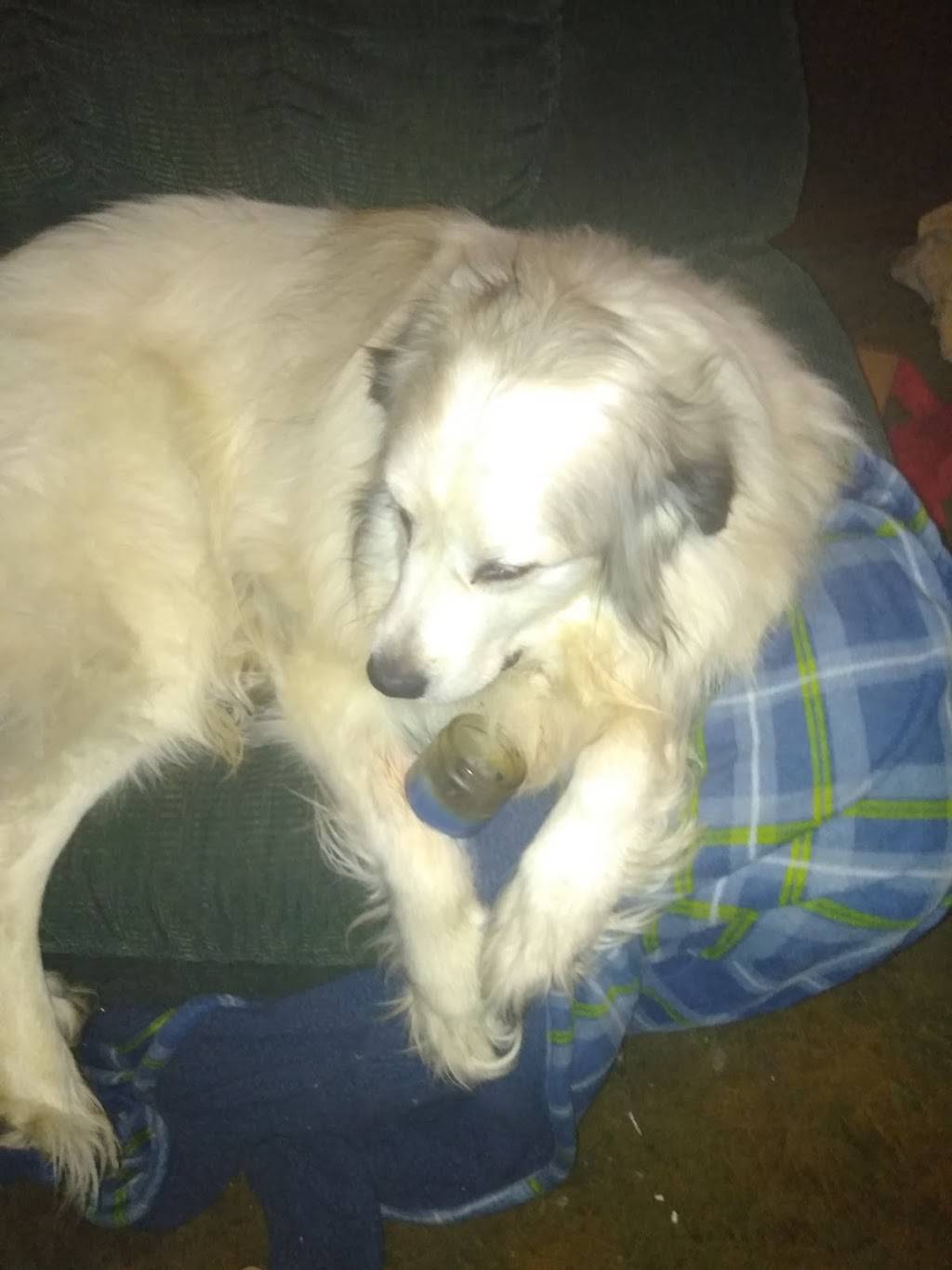 Winfields Pub LLC | restaurant | 1213 Ridge Rd, Buffalo, NY 14218, USA | 7168210700 OR +1 716-821-0700