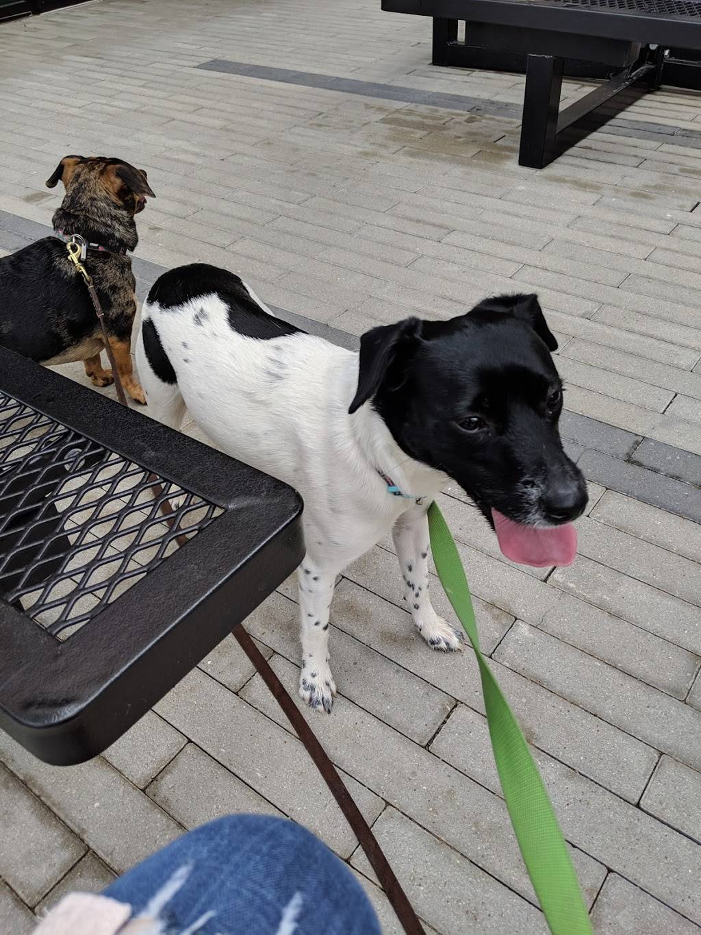 Super Chix | restaurant | 1217 8th Ave Ste 115, Fort Worth, TX 76104, USA | 6823126284 OR +1 682-312-6284