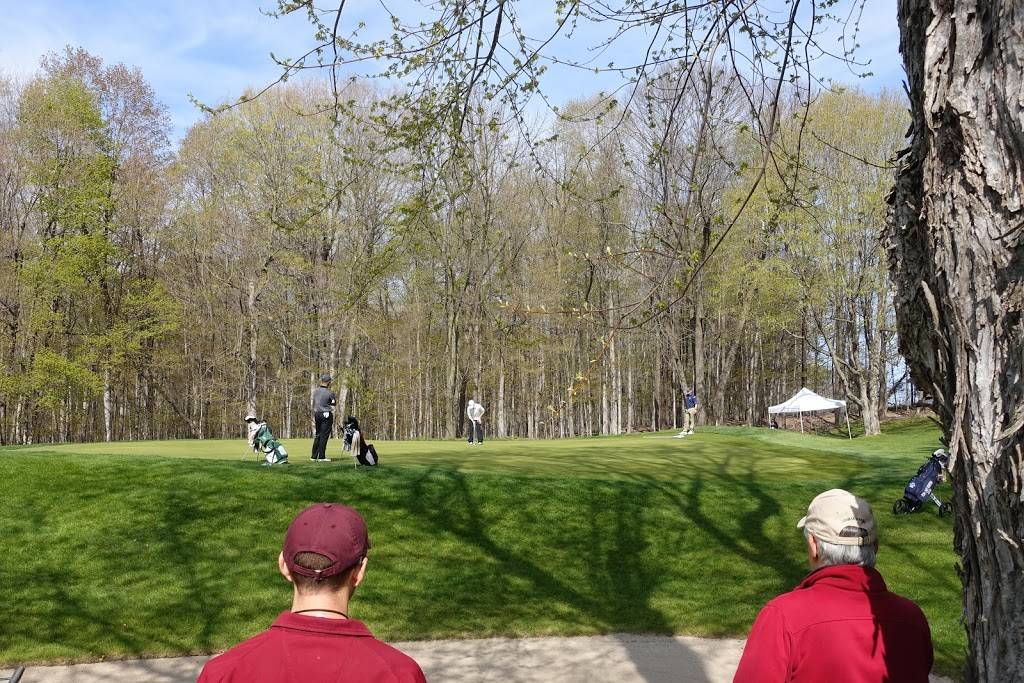 Mendon Golf Club | restaurant | 226 Mendon Ionia Rd, Honeoye Falls, NY 14472, USA | 5856243770 OR +1 585-624-3770