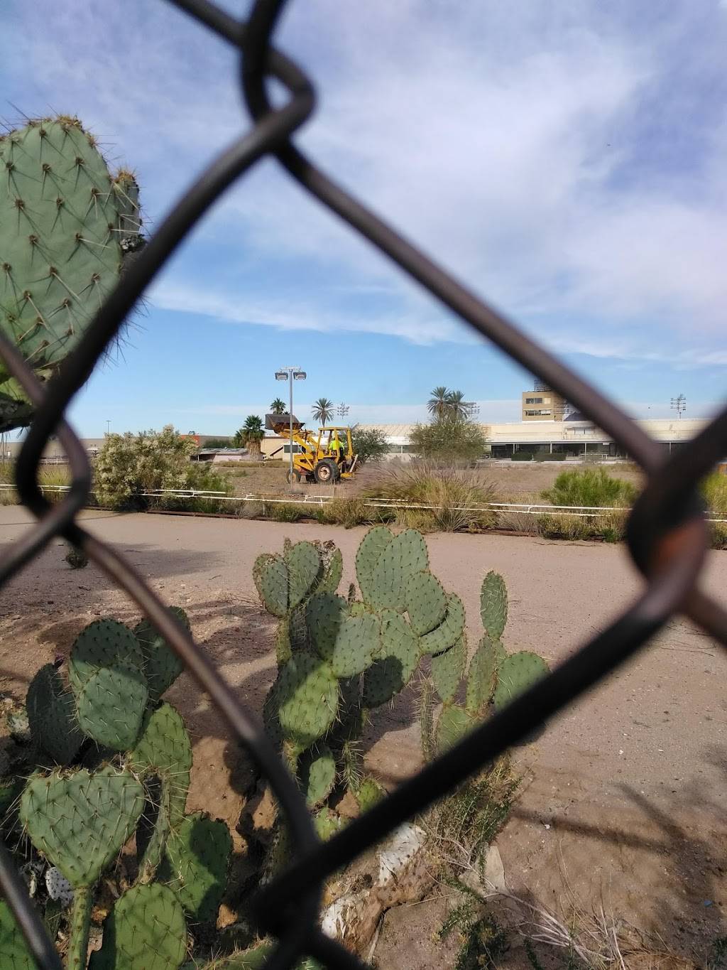 Apache Greyhound Park | restaurant | 220 S Delaware Dr, Apache Junction, AZ 85120, USA | 4809822371 OR +1 480-982-2371