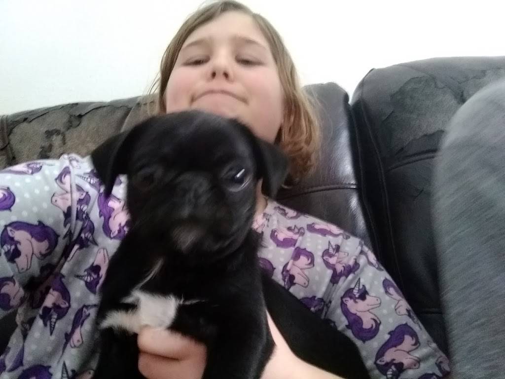 Kings Restaurant | restaurant | 1780 N National Ave, Chehalis, WA 98532, USA | 3607409702 OR +1 360-740-9702