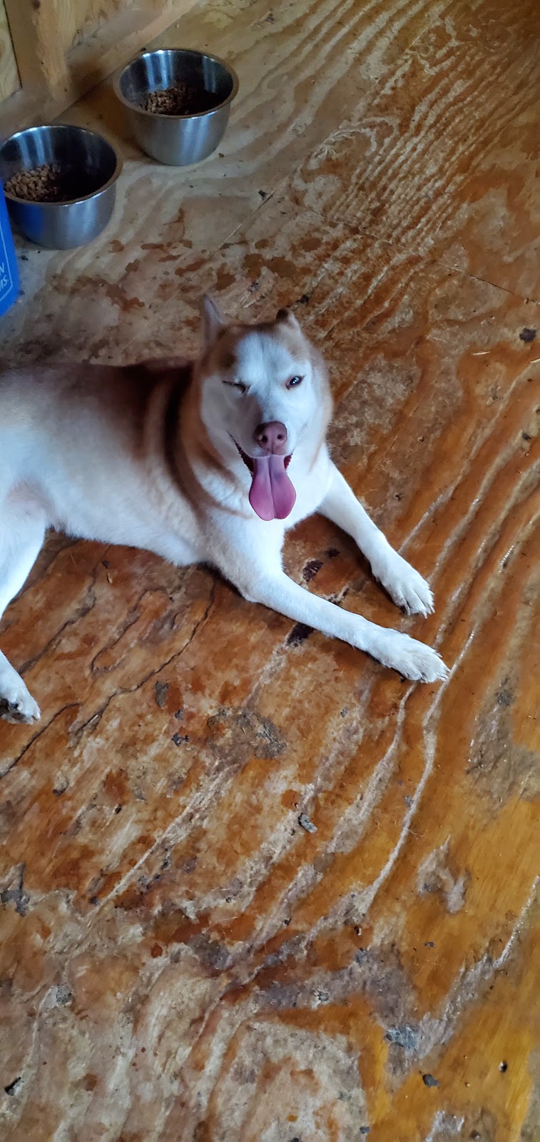 Taqueria Melina | restaurant | 305 Thirteenth St, Port St Joe, FL 32456, USA | 8502475029 OR +1 850-247-5029