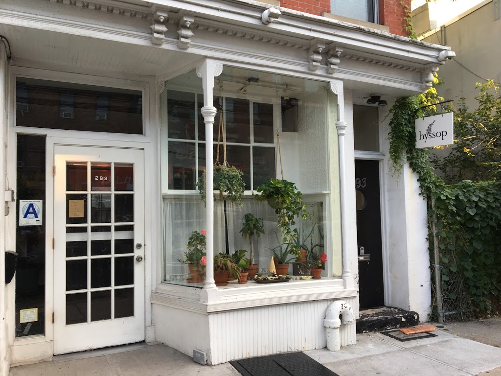 Hyssop | restaurant | 293 Van Brunt St, Brooklyn, NY 11231, USA | 9292950495 OR +1 929-295-0495