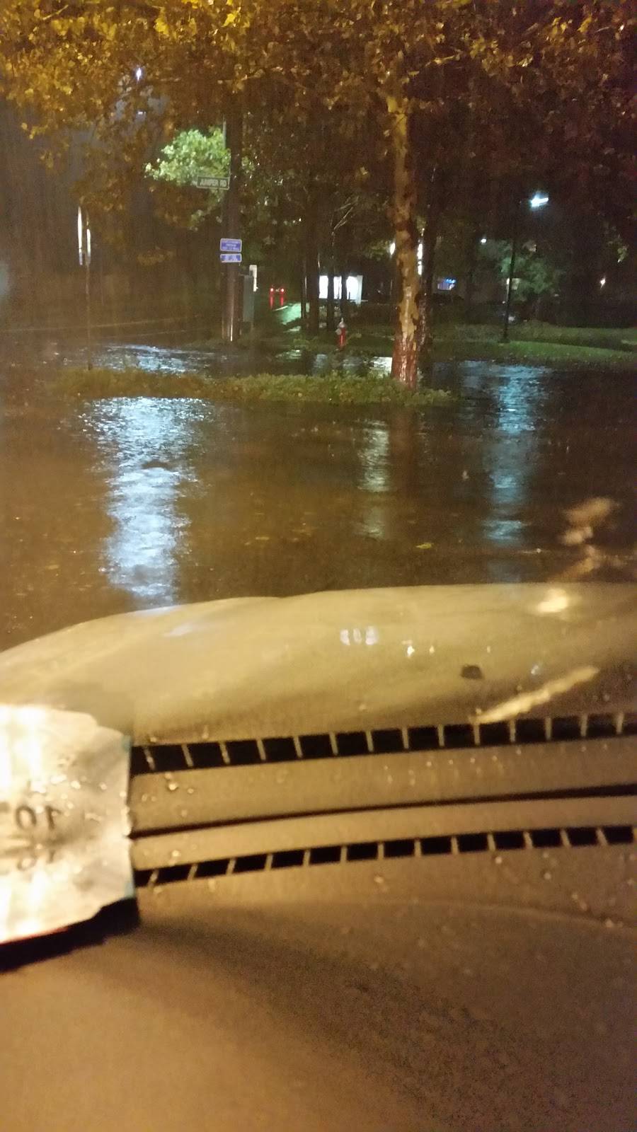 New Kings Food | restaurant | 619 E Main St, Kings Park, NY 11754, USA | 6319791515 OR +1 631-979-1515