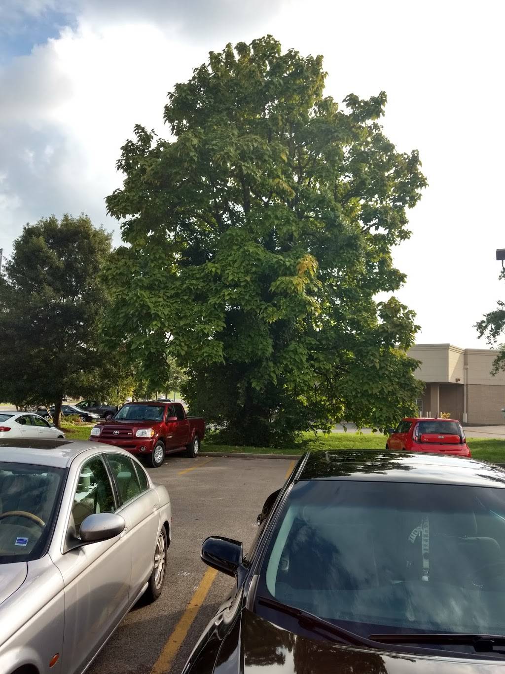 Waffle House | meal takeaway | 2427 Old Fort Pkwy, Murfreesboro, TN 37128, USA | 6158981527 OR +1 615-898-1527