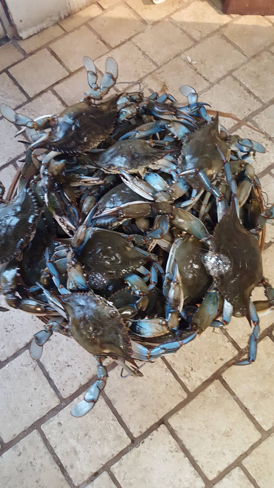 Hunters Crabs & Seafood Market | restaurant | 4801 Main St, Grasonville, MD 21638, USA | 4108278923 OR +1 410-827-8923