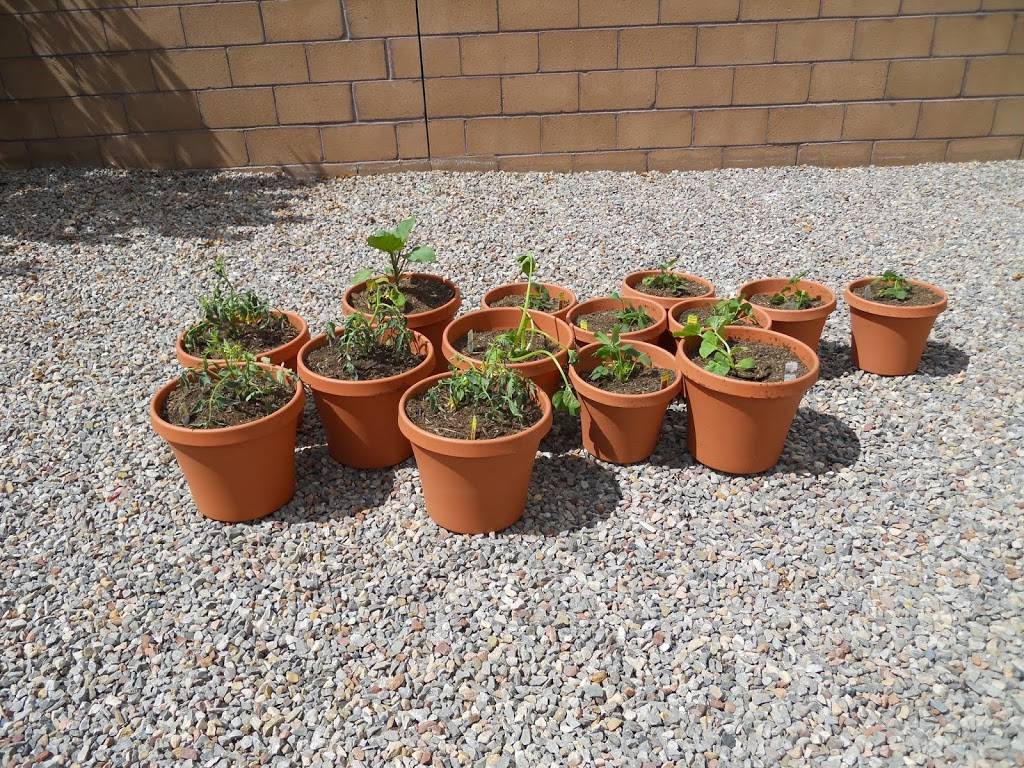 Blacksburg Taphouse | restaurant | 607 N Main St, Blacksburg, VA 24060, USA | 5405523023 OR +1 540-552-3023