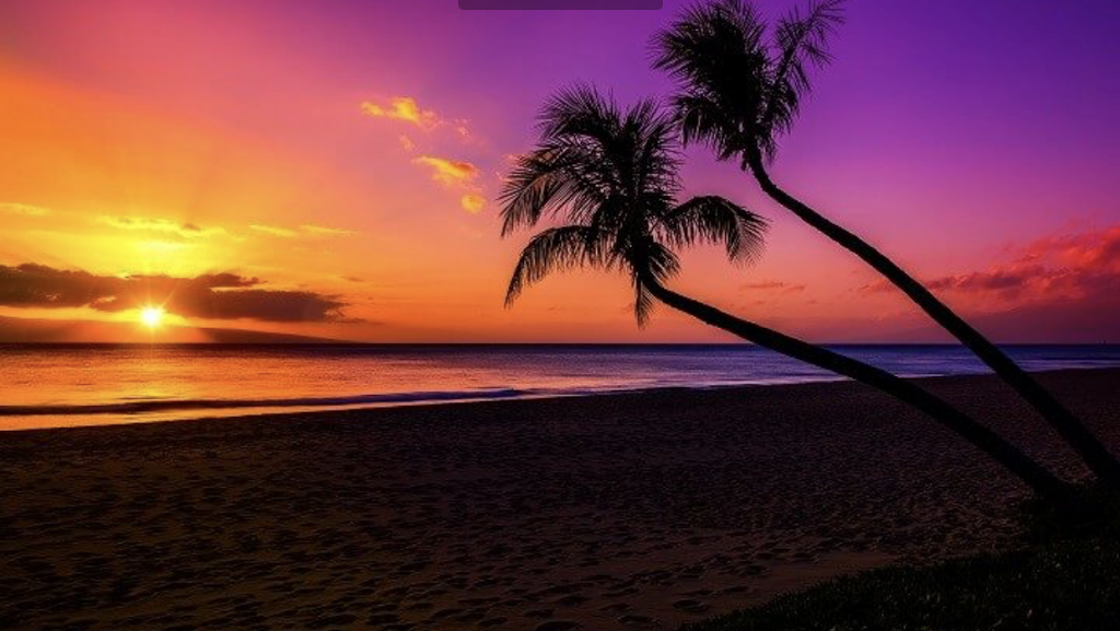 The Caribbean Restaurant | restaurant | 415 E High Ave, New Philadelphia, OH 44663, USA | 3304407517 OR +1 330-440-7517