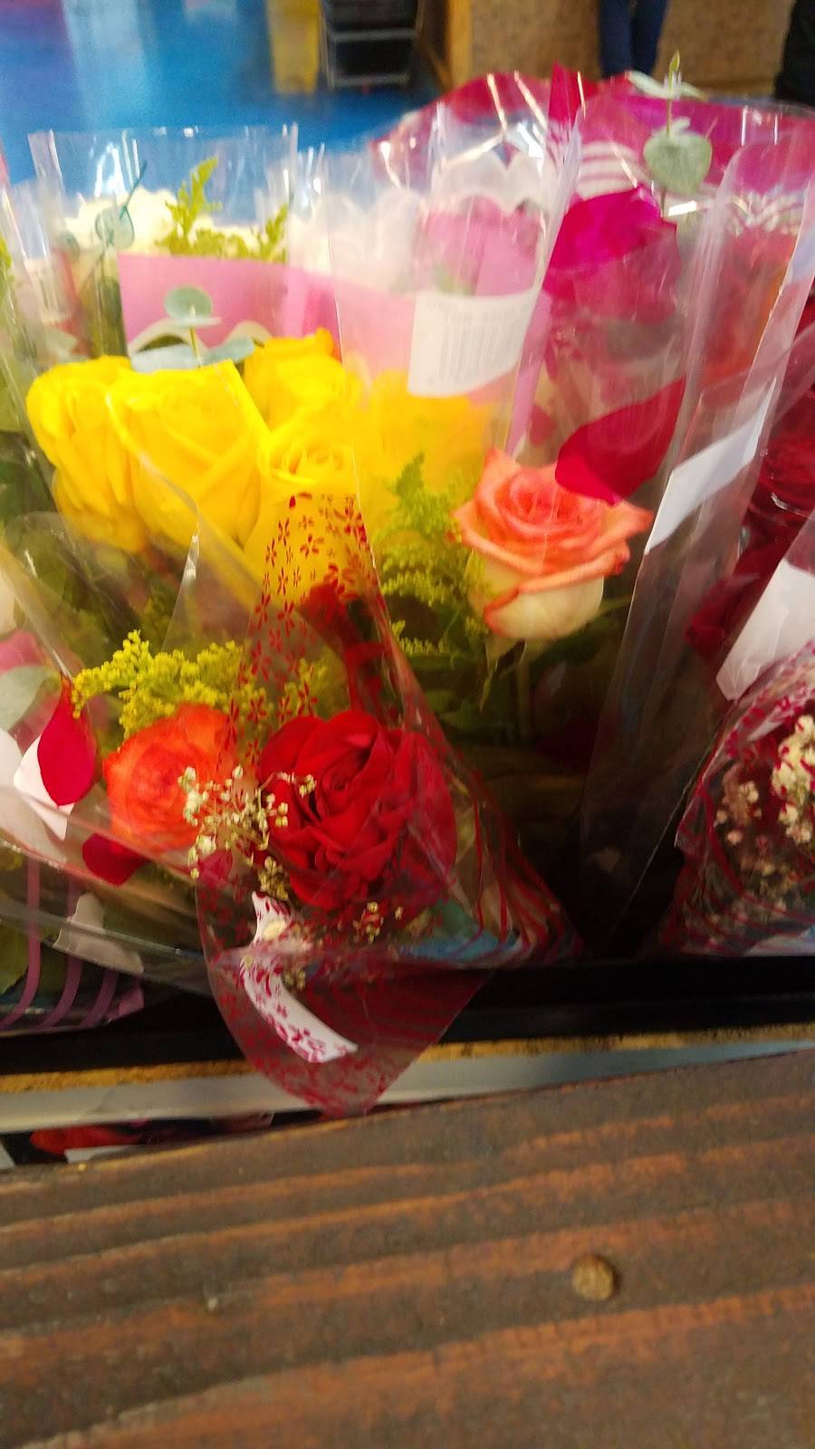 Carniceria El Rodeo | restaurant | 3418 SW 29th St, Oklahoma City, OK 73119, USA | 4056860773 OR +1 405-686-0773