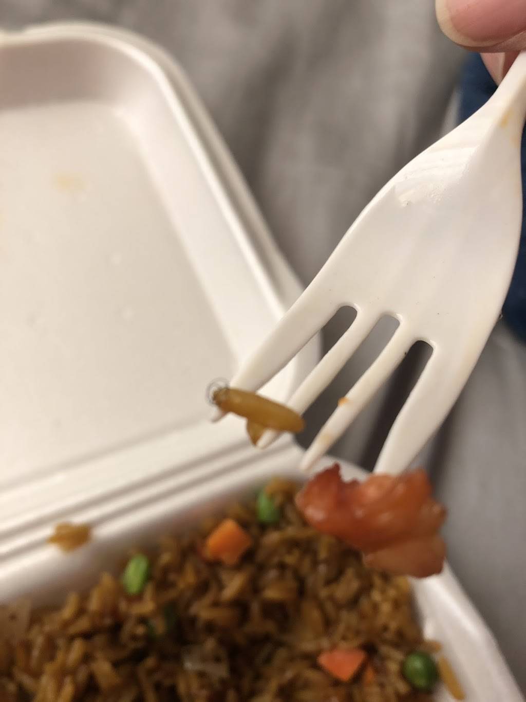 Hot Wok Chinese Restaurant | restaurant | 5096 Forest Hill Blvd, West Palm Beach, FL 33415, USA | 5619699938 OR +1 561-969-9938